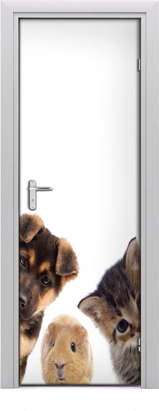 Tulup Fototapeta samoprzylepna na drzwi 75 x 205 cm Zwierzęta