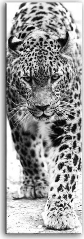 GO-BI Obraz "Wild Nature" reprodukcja 150x50 cm