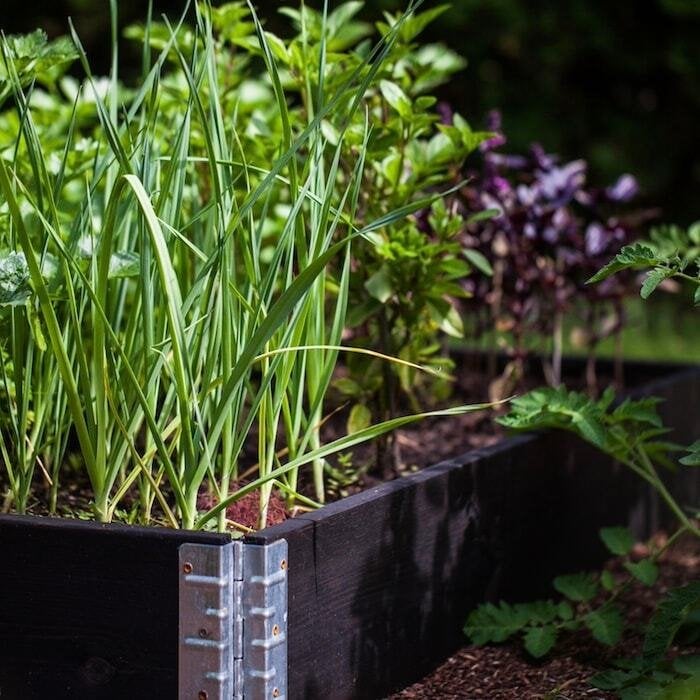 WOODEN RAIS BED G 800X600-1-4-ECO-BK-GBA