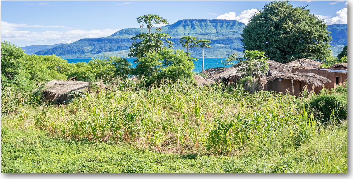 Tulup Obraz Na Płótnie 100x50 Obraz Canvas Jezioro Malawi