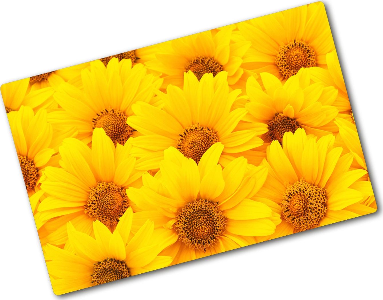 Deska do krojenia Tulup szklana 80x52cm