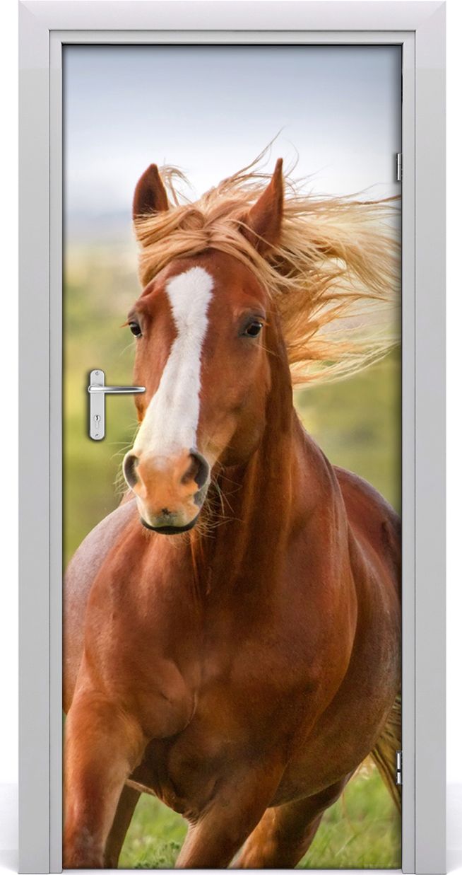 Tulup Fototapeta samoprzylepna na drzwi 85 x 205 cm Galopujący koń