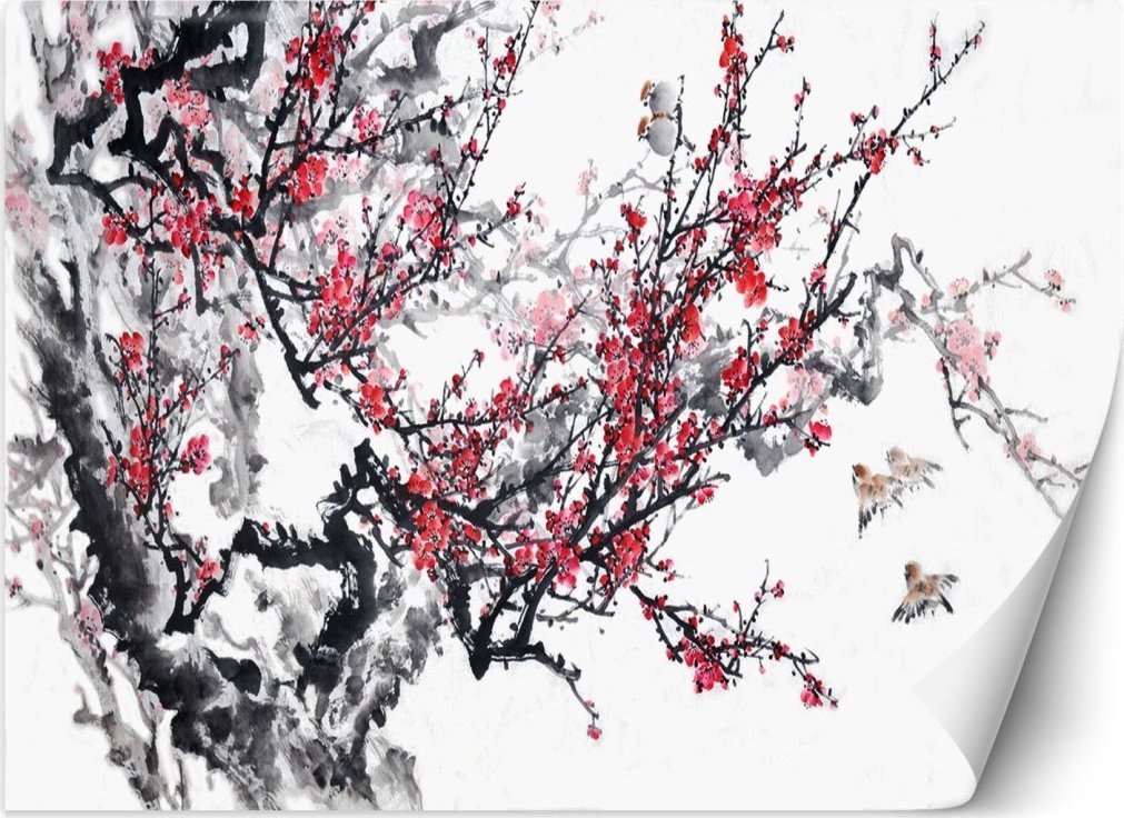 Feeby Fototapeta, Kwiaty wiśni - 250x175