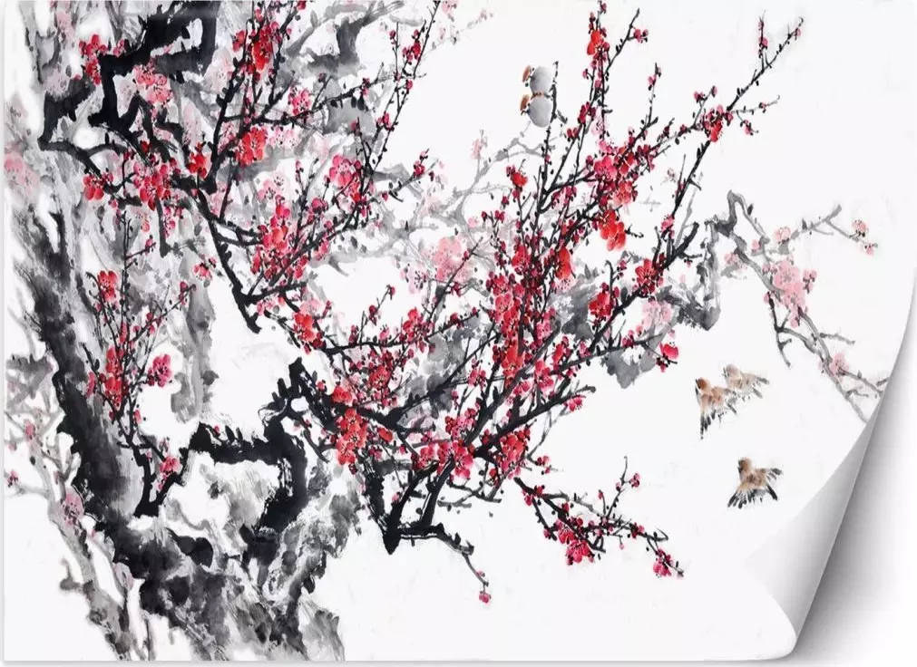 Feeby Fototapeta, Kwiaty wiśni - 250x175