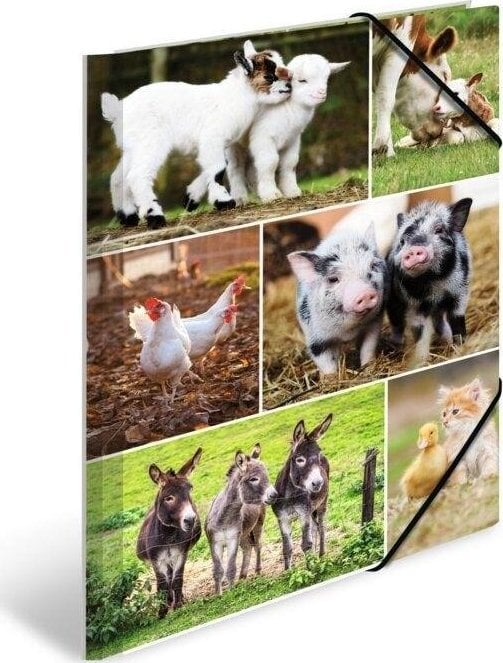 Teka Teczka A4 gumki narożne - Zwierzęta wiejskie