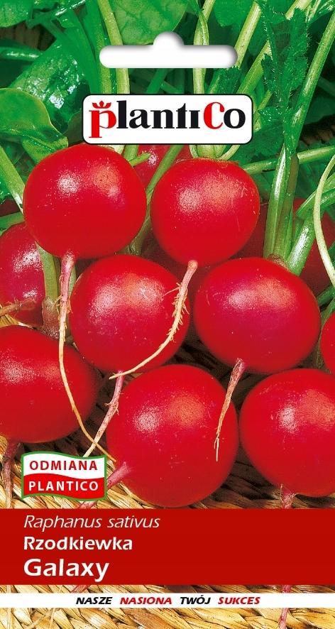 Plantico Rzodkiewka Galaxy 10g PlantiCo