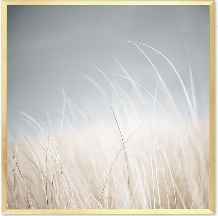 GO-BI Obraz uniwersalny