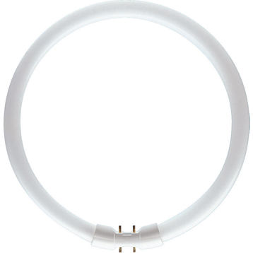 Świetlówka Philips Master TL5 Circular kołowa 2GX13 55W 4200lm 3000K (871150064279025)