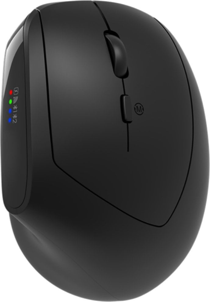 CANYON mouse MW-25 Ergonomic LED AA Dual mode Wireless Black