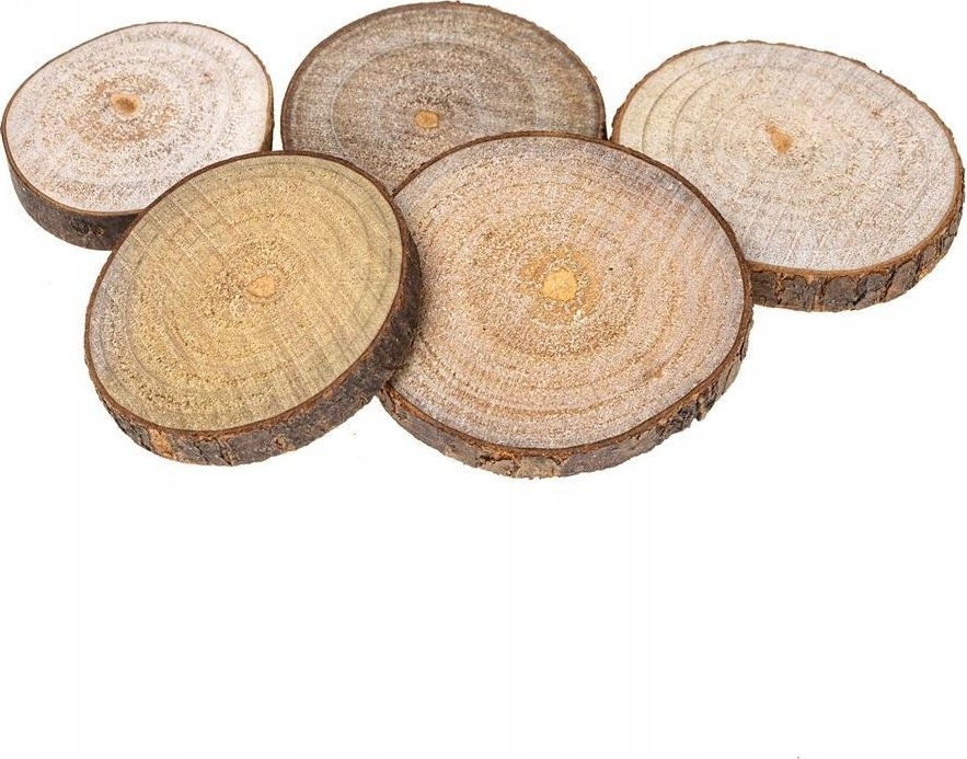 Creativ Company Plastry drewna 4-6cm