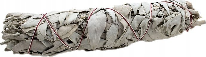 Neofarma BIAŁA SZAŁWIA wysoka jakość duży pęczek