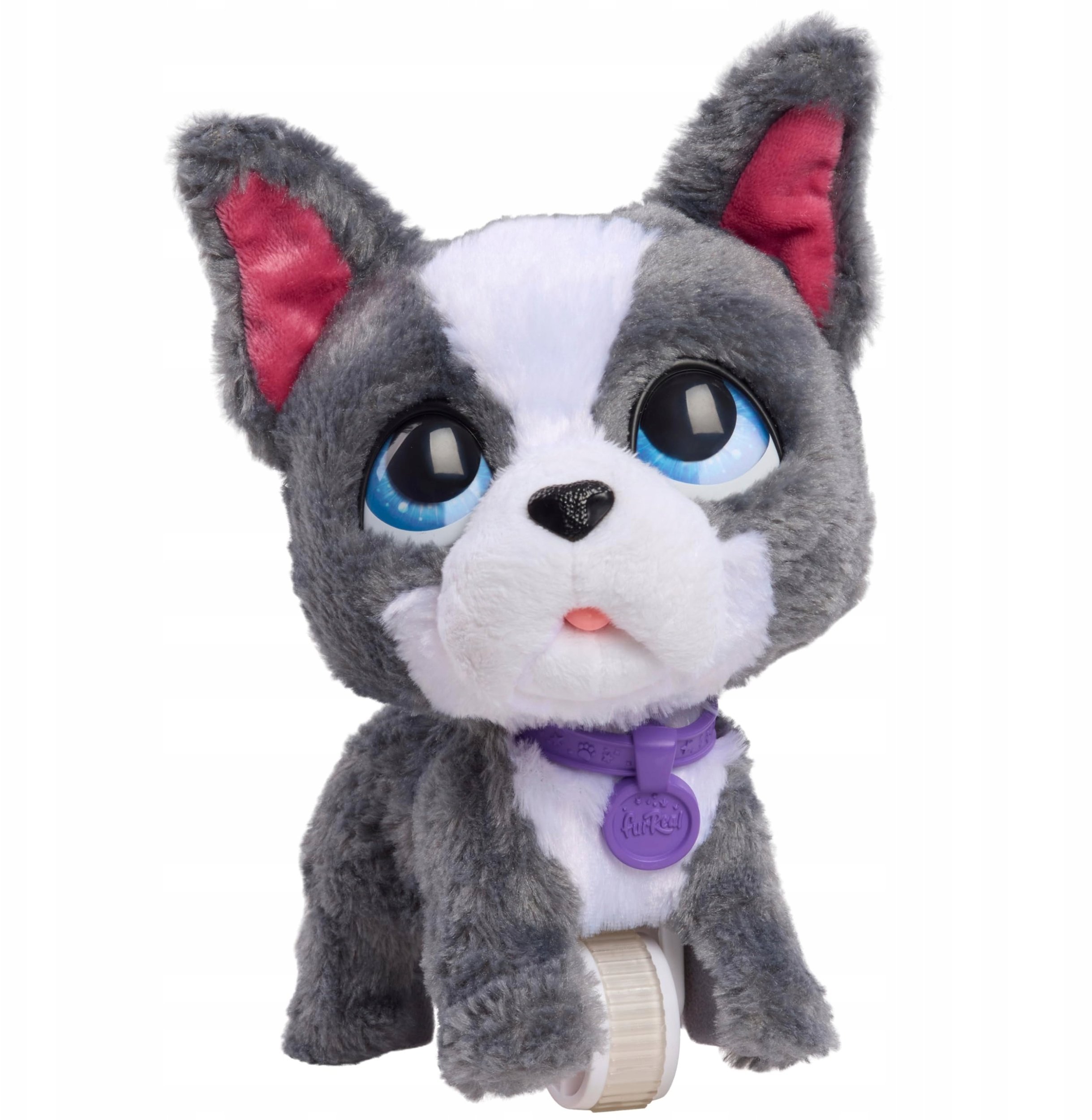 Hasbro *****FRF Buldog francuski na smyczy 81617