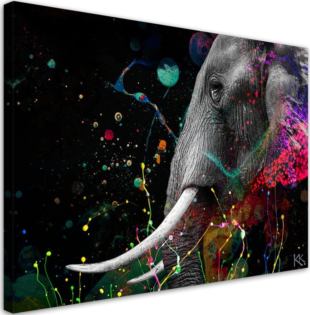 Feeby Obraz na płótnie, Słoń afrykański abstrakcja - 120x80