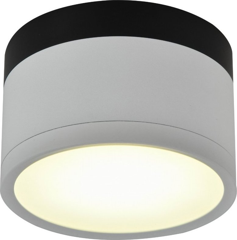 Lampa sufitowa Selsey SELSEY Spot Elvenes biały z czarną wstawką średnica 8,8 cm