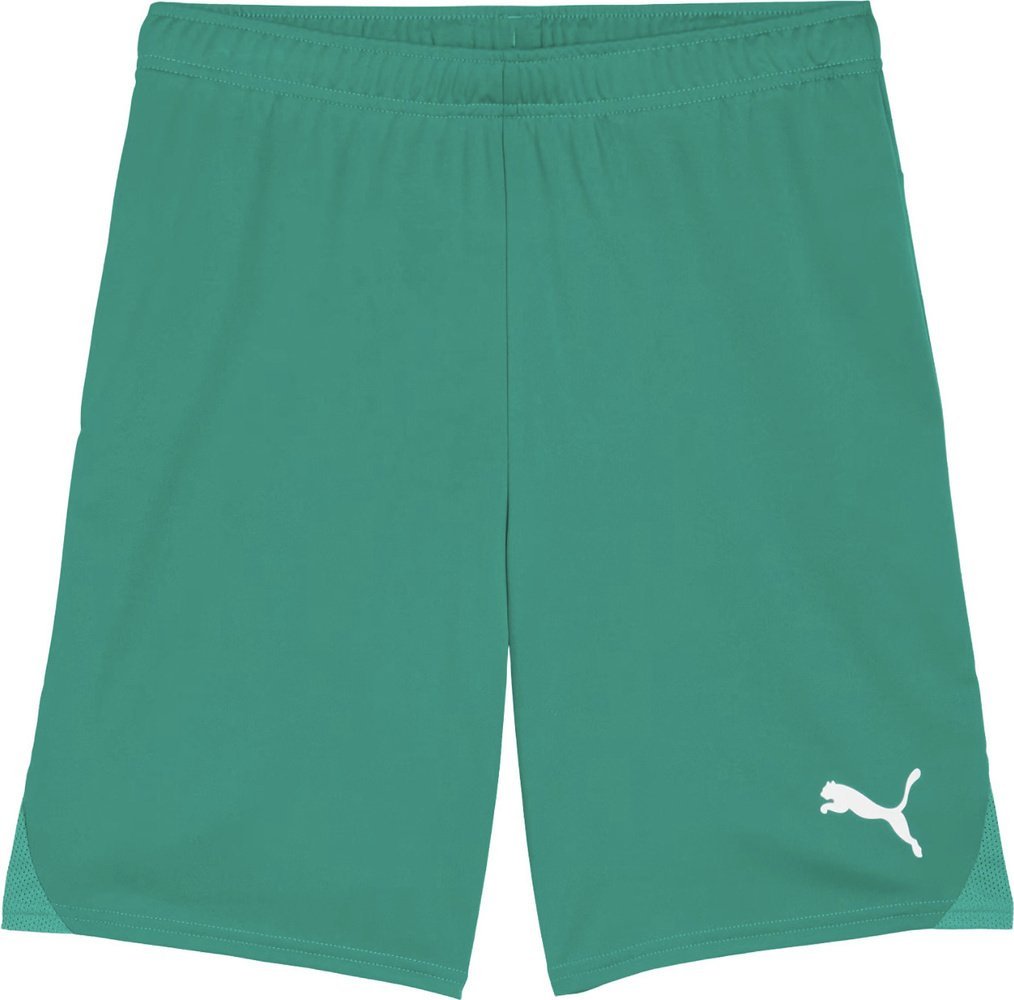 Puma Spodenki męskie Team Goal zielone 705752 05 S