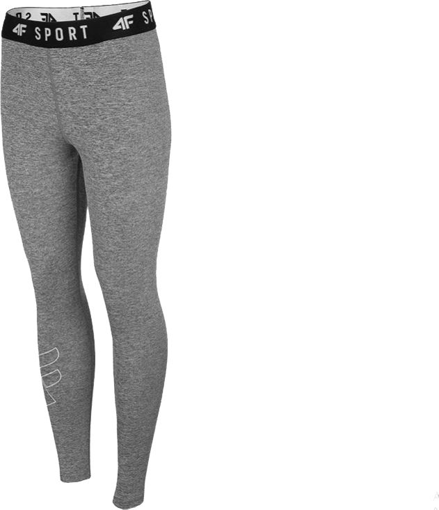 4f Legginsy damskie NOSH4-SPDF001 szare r. S