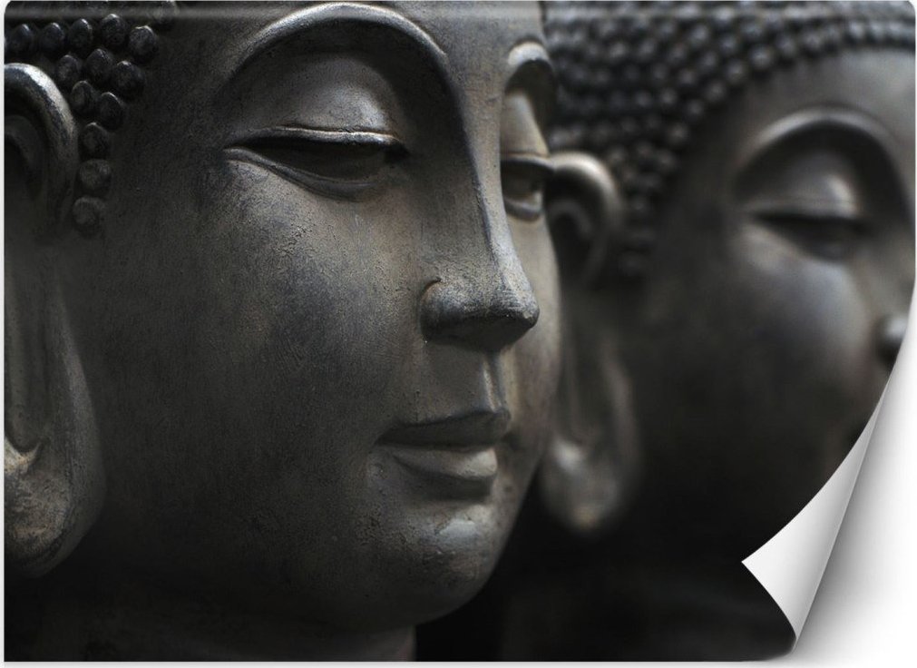 Feeby Fototapeta, Medytujący Budda - 350x245