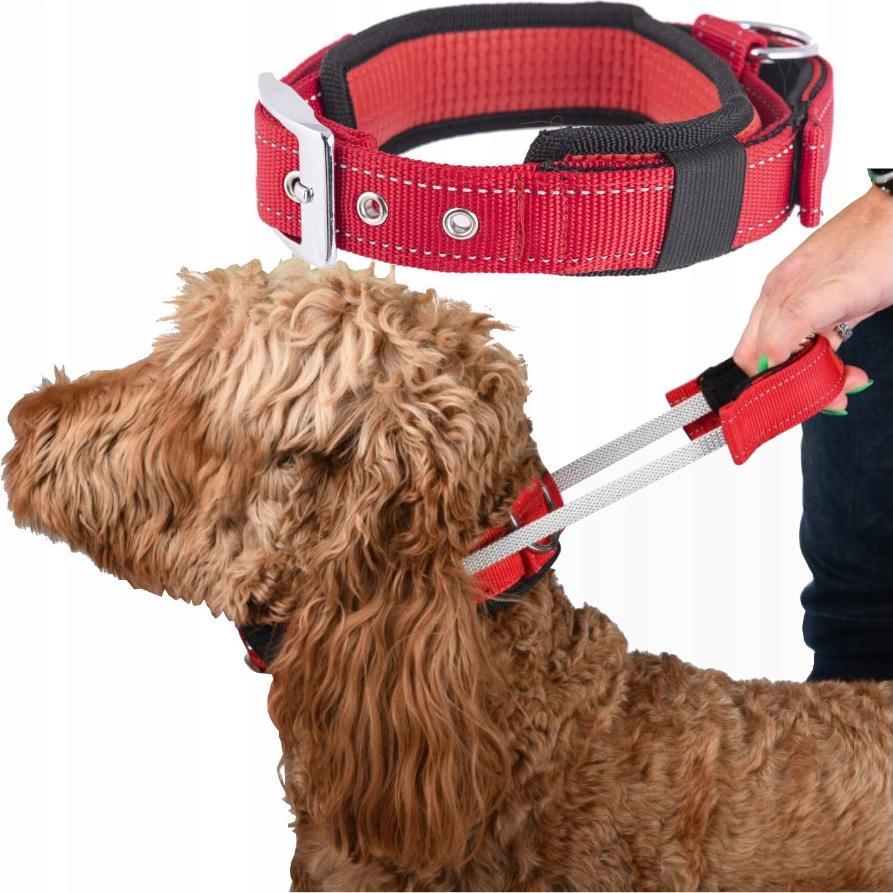 Patento Pet Obroża Dla Psa Treningowa z Uchwytem Z Krótką Smyczą