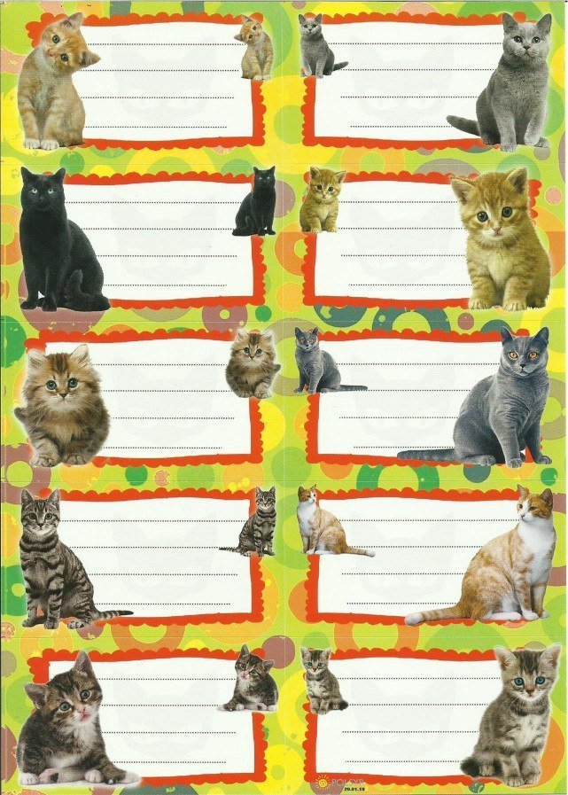 POLSYR Naklejki na zeszyty POLSYR Duże - kotki 25ark.