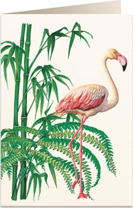 Tassotti Karnet B6 + koperta 5929 Flaming