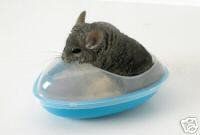 Savic Basen dla szynszyla