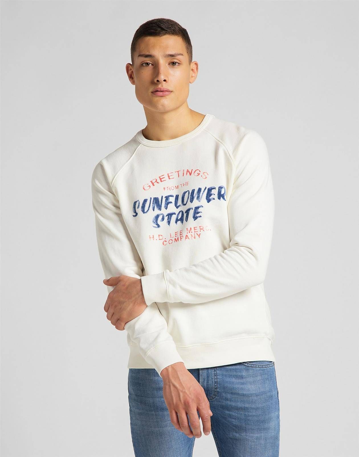 Lee MĘSKA BLUZA LEE RAGLAN GRAPHIC SWS ECRU L83NSPNQ S