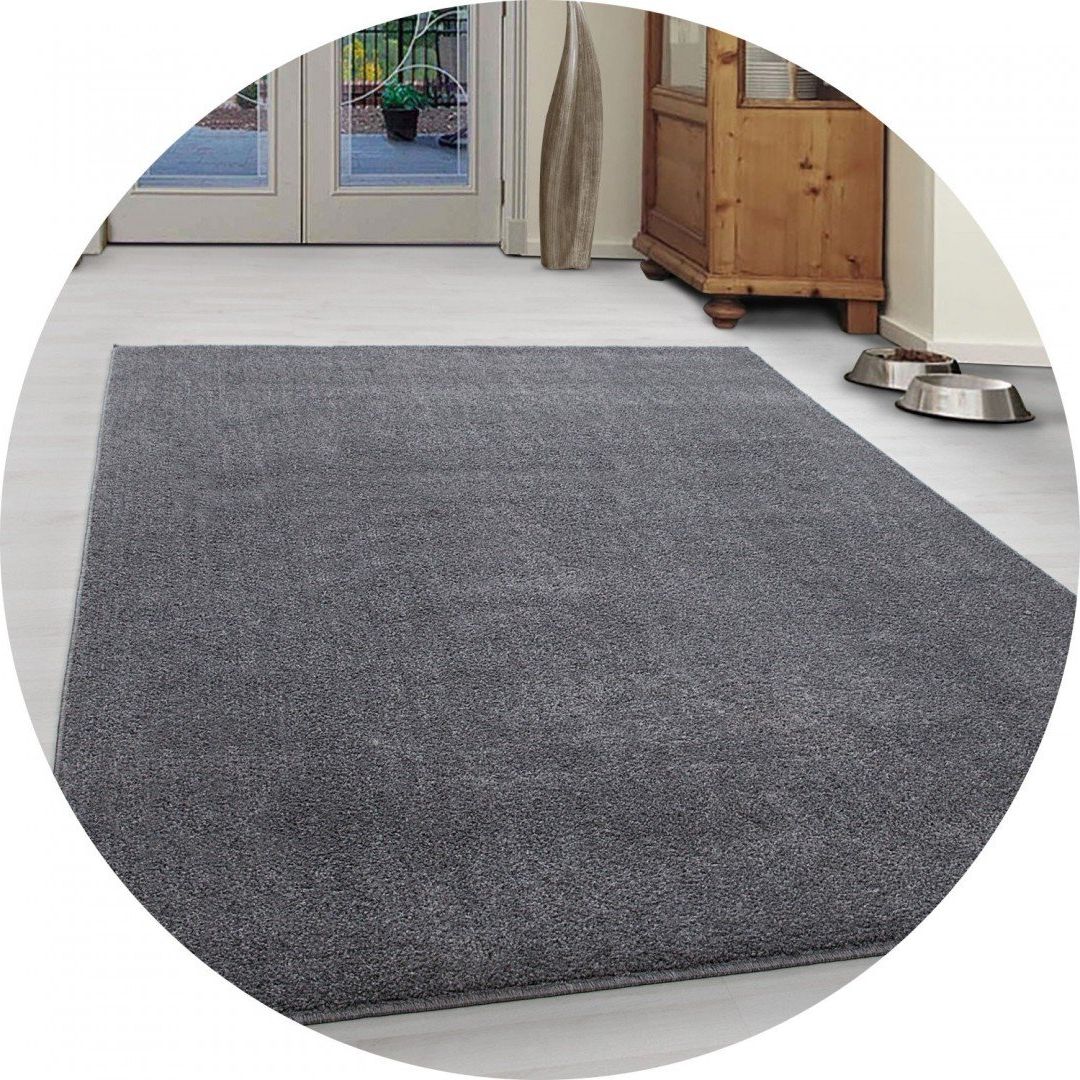 Ayyildiz Hali Dywan nowoczesny Jasny Szary Jednolity Koło ATAO Koło