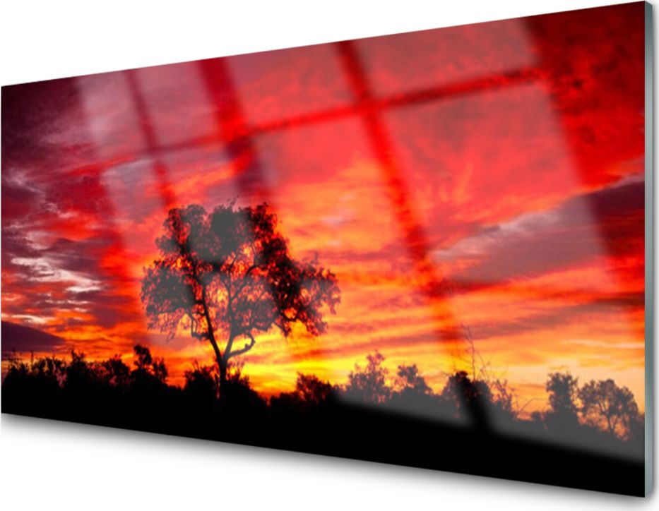 Tulup Obraz Akrylowy Las Krajobraz Natura