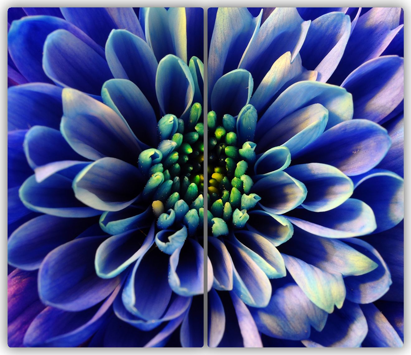 Deska do krojenia Tulup szklana Aster 1 52x30cm 2szt.