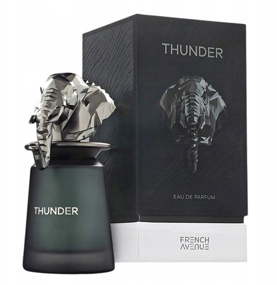 French Avenue Thunder EDP U 100 ml