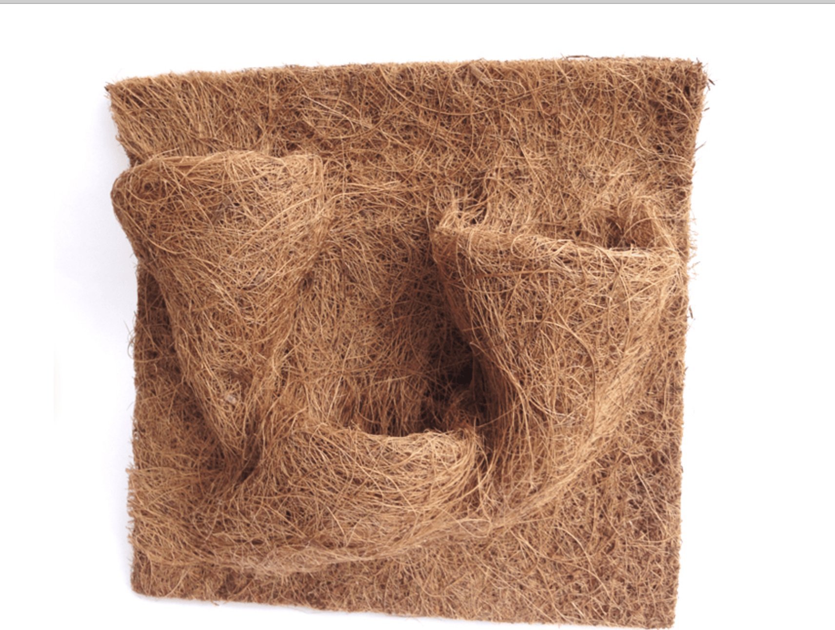 Bioterr BioCoco Background 20x30cm Tło, mata kokosowa