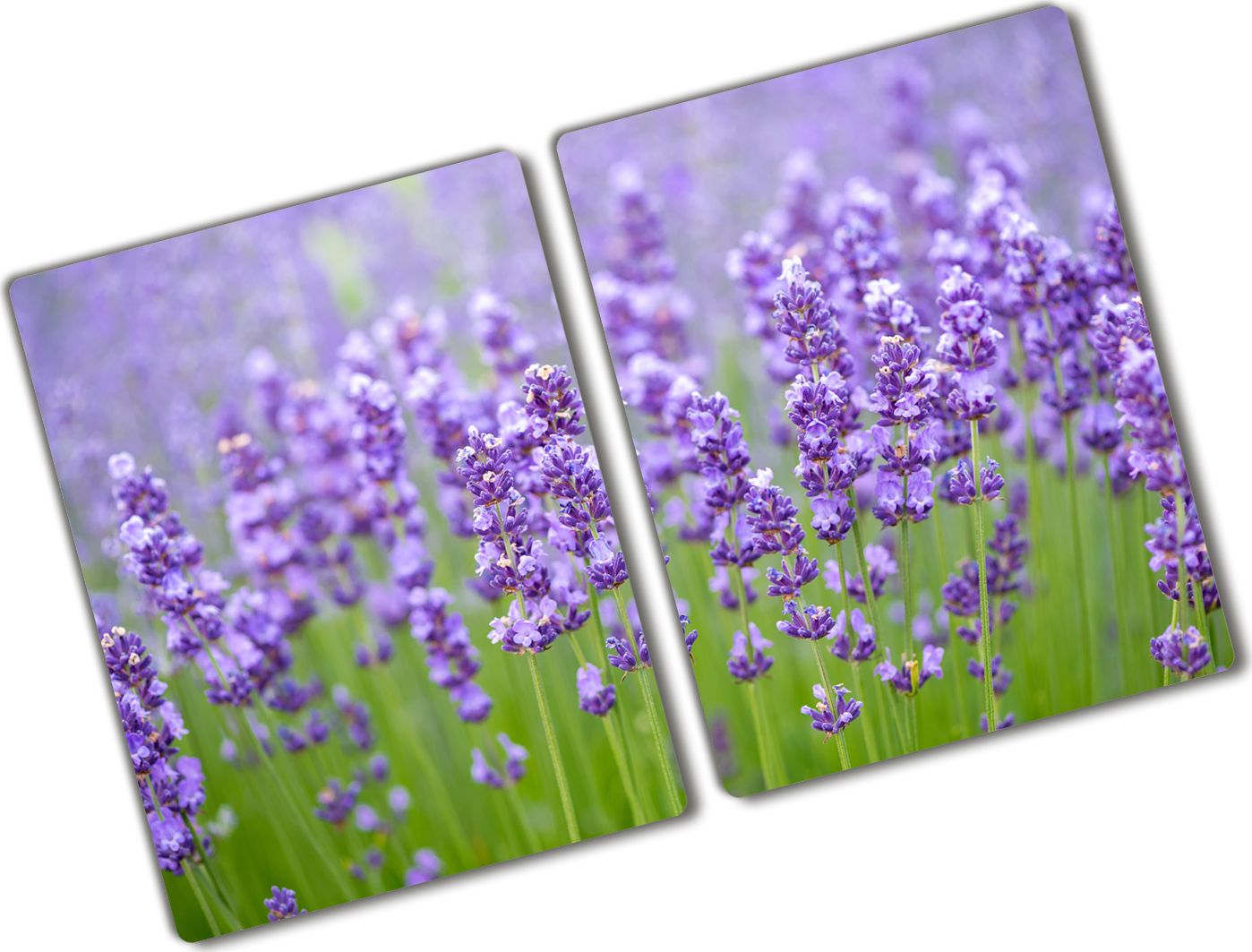 Deska do krojenia Tulup szklana Lawenda 9 52x2szt.