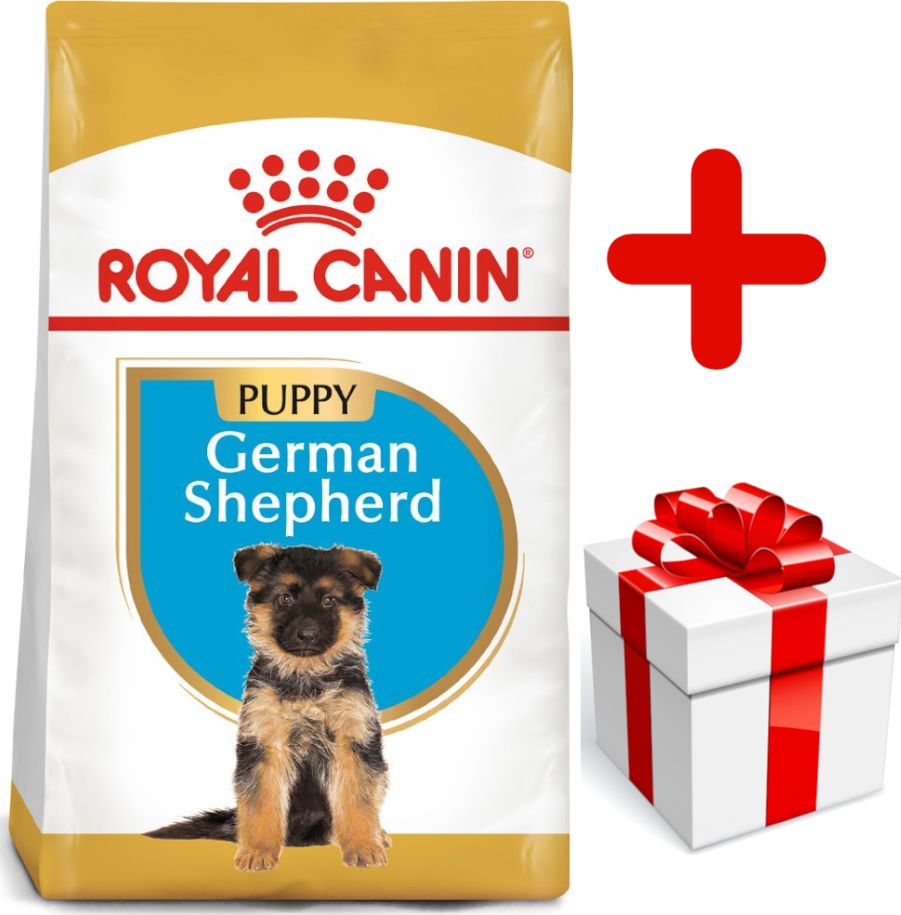 Royal Canin ROYAL CANIN German Shepherd Puppy 12kg karma sucha dla szczeniąt do 15 miesiąca, rasy owczarek niemiecki + niespodzianka dla psa GRATIS!