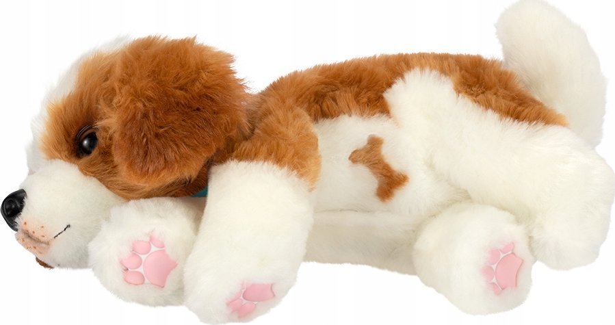 Little Live Pets Moose - Little Live Pets My Really Real Puppy