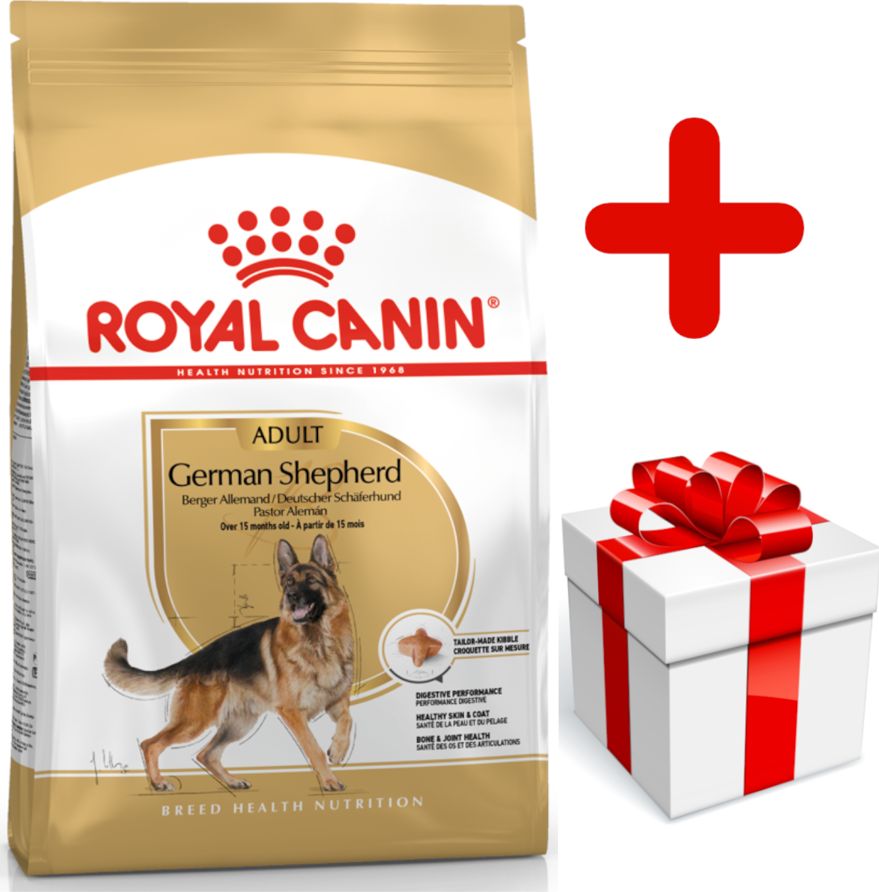 Royal Canin ROYAL CANIN German Shepherd Adult 11kg karma sucha dla psów dorosłych rasy owczarek niemiecki + niespodzianka dla psa GRATIS!