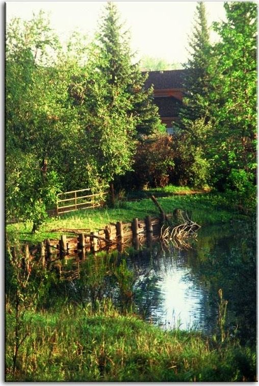 GO-BI Obraz "Krajobrazy" reprodukcja 60x90 cm