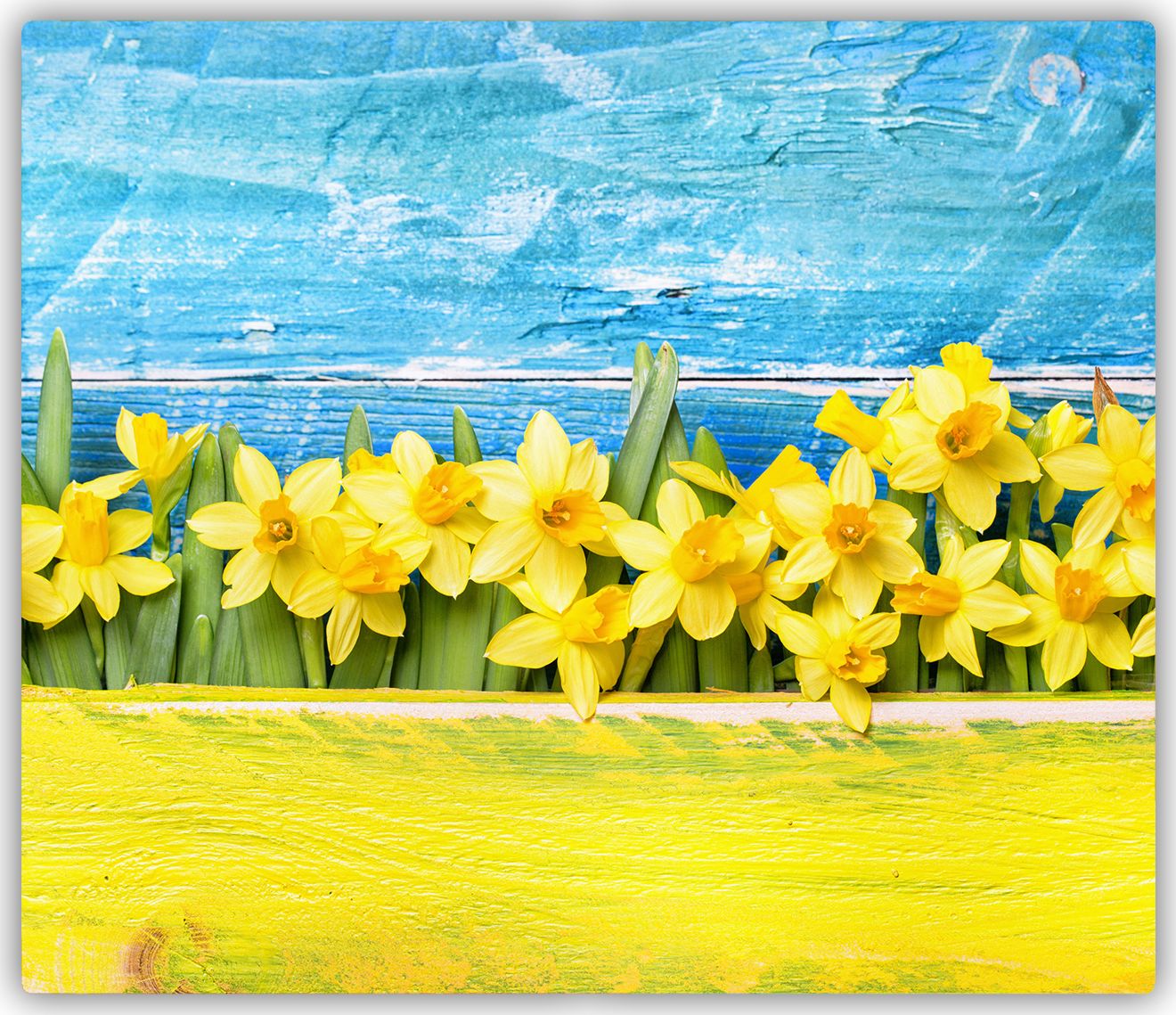 Deska do krojenia Tulup szklana Żonkile 3 60x52cm