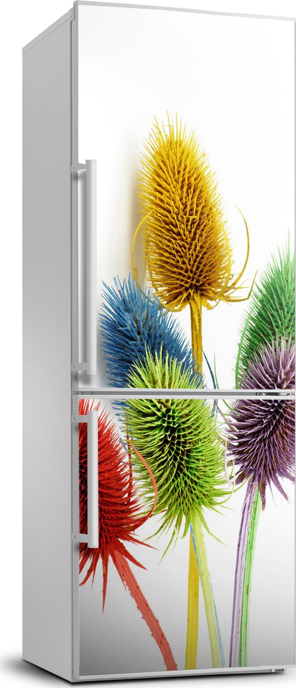 Tulup Naklejka samoprzylepna na lodówkę 70x190 cm Oset