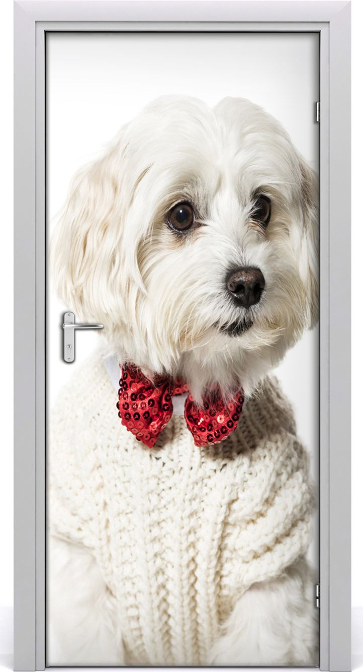 Tulup Fototapeta samoprzylepna na drzwi 95 x 205 cm pies