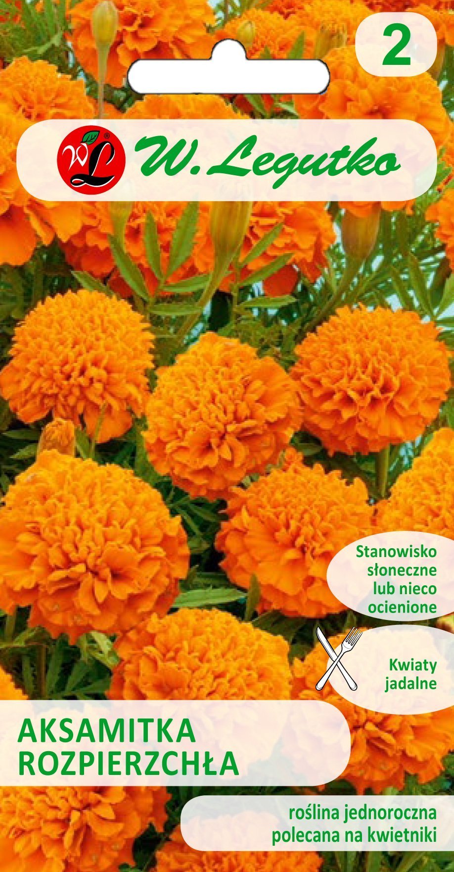 Legutko Nasiona Aksamitka rozpierzchła pomarańczowa 1g