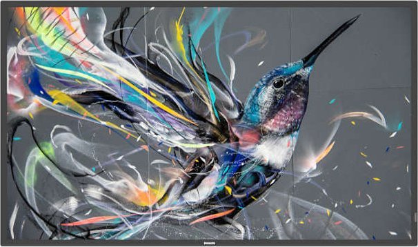 Monitor Philips Q-Line 43BDL3511Q/00