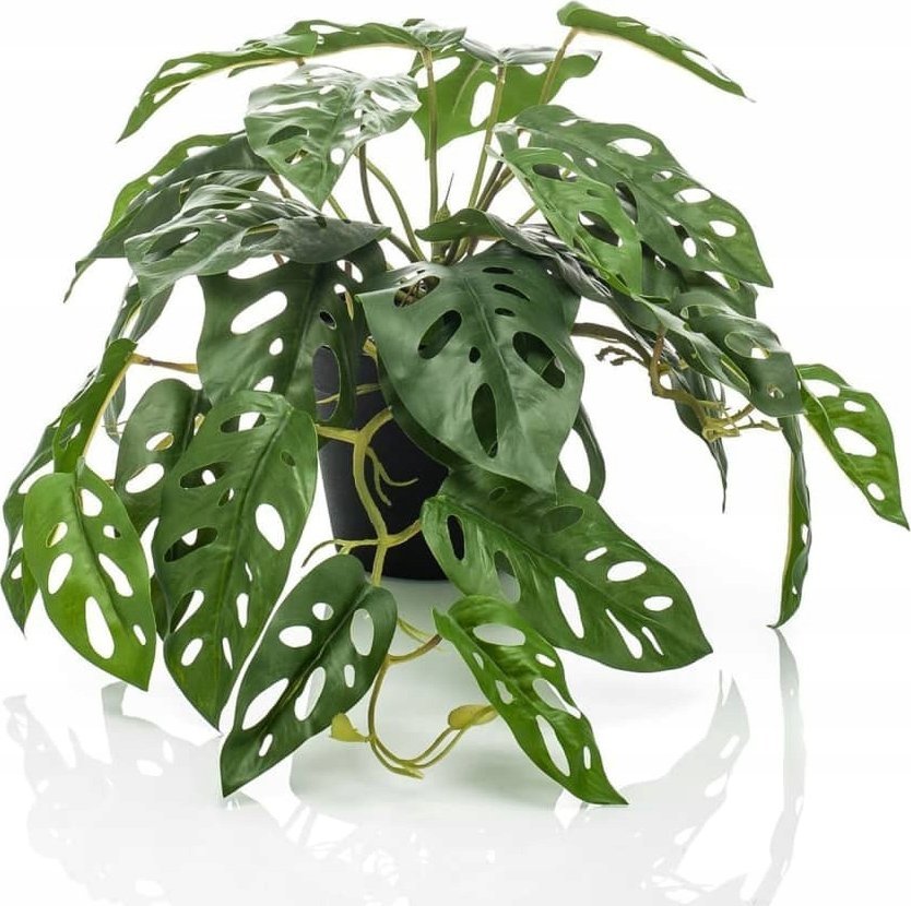 Emerald Sztuczna monstera Monkey w doniczce, 55 cm Lumarko!