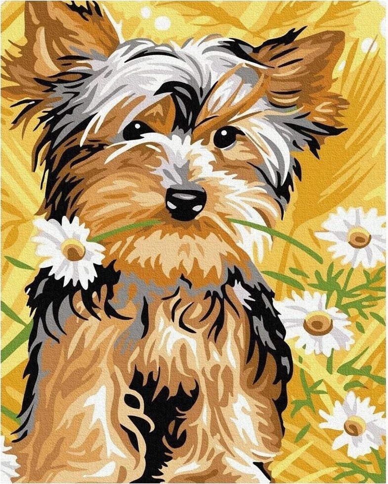 Malowanie po numerach - Słodki pies 40x50cm