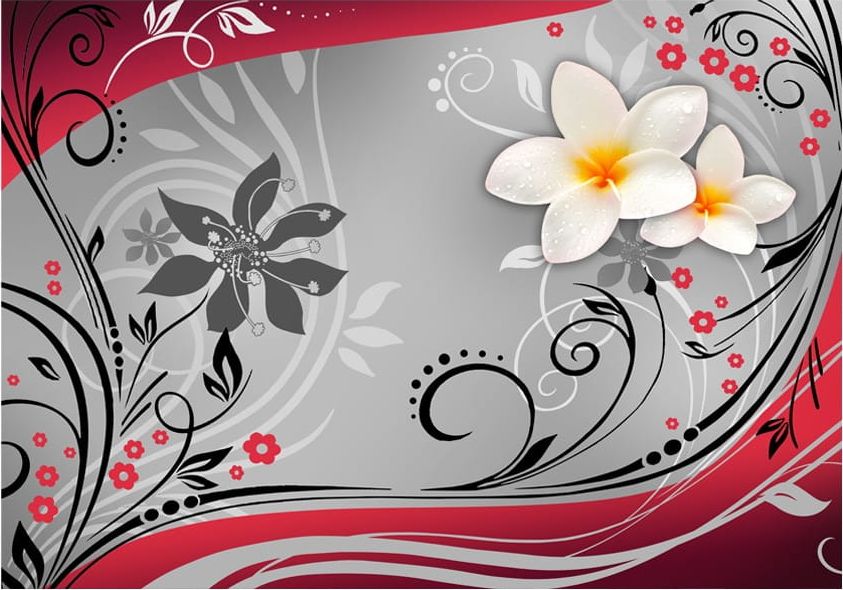 DecoNest Fototapeta - Poranne rozmyślania II - 350X245