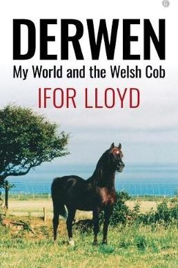 Derwen - My World and the Welsh Cob
