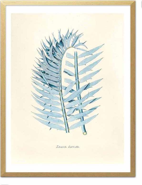 ART-POL Obraz na płótnie tropikalne liście i kwiaty dzika przyroda