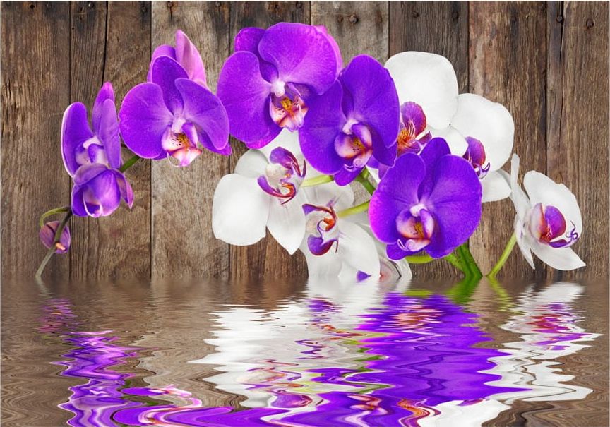 DecoNest Fototapeta - Połączenie - 400X280