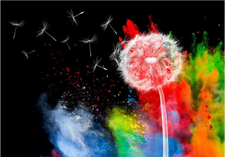 DecoNest Fototapeta - Kolorowy żywioł - 200X140