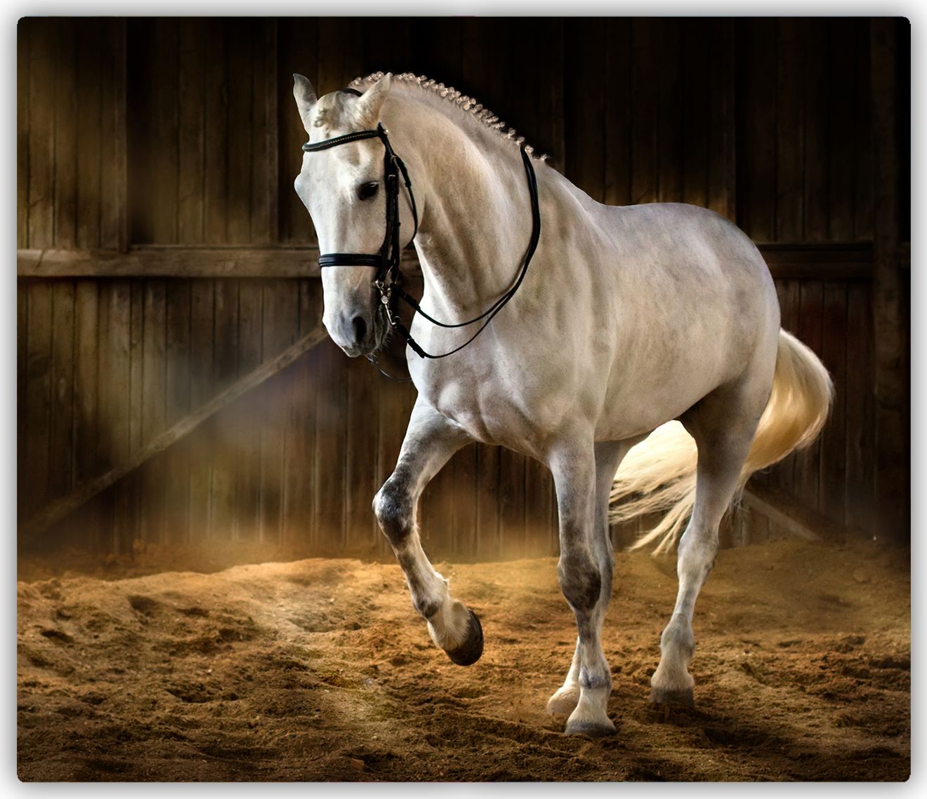 Deska do krojenia Tulup szklana Biały koń w stajni 3 60x52cm