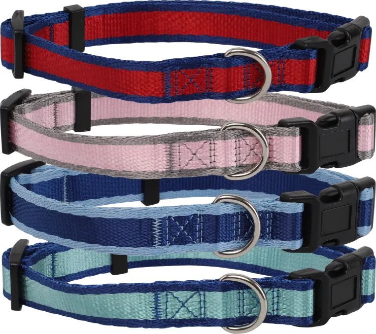 Nobleza Dwukolorowa obroża wsążkowa Dwukolorowa obroża wsążkowa